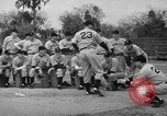 Image of Newark Bears Sebring Florida USA, 1941, second 48 stock footage video 65675071400