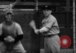 Image of Newark Bears Sebring Florida USA, 1941, second 58 stock footage video 65675071400