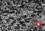 Image US National singles match de tennis 1963 Forest Hills New York USA, 1963, de la seconde 42 séquences d'archives historiques vidéo 65675071404