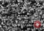 Image US National singles match de tennis 1963 Forest Hills New York USA, 1963, de la seconde 52 séquences d'archives historiques vidéo 65675071404