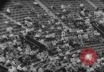Standbild tennis match Forest Hills New York USA, 1962, aus Sekunde 37 historischem Filmmaterial Videoclip 65675071412