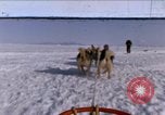 Standbild Hund Team der Antarktis, 1964, aus Sekunde 1 historischem Filmmaterial Videoclip 65675071420