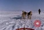 Standbild Hund Team der Antarktis, 1964, aus Sekunde 3 historischem Filmmaterial Videoclip 65675071420