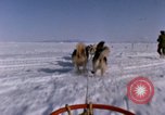 Standbild Hund Team der Antarktis, 1964, aus Sekunde 4 historischem Filmmaterial Videoclip 65675071420