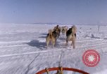 Standbild Hund Team der Antarktis, 1964, aus Sekunde 5 historischem Filmmaterial Videoclip 65675071420