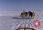 Standbild Hund Team der Antarktis, 1964, aus Sekunde 6 historischem Filmmaterial Videoclip 65675071420