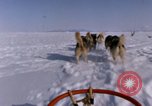 Standbild Hund Team der Antarktis, 1964, aus Sekunde 7 historischem Filmmaterial Videoclip 65675071420