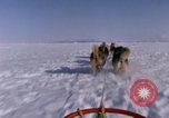 Standbild Hund Team der Antarktis, 1964, aus Sekunde 8 historischem Filmmaterial Videoclip 65675071420