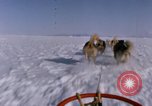 Standbild Hund Team der Antarktis, 1964, aus Sekunde 9 historischem Filmmaterial Videoclip 65675071420