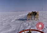 Standbild Hund Team der Antarktis, 1964, aus Sekunde 10 historischem Filmmaterial Videoclip 65675071420