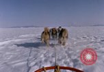 Standbild Hund Team der Antarktis, 1964, aus Sekunde 11 historischem Filmmaterial Videoclip 65675071420