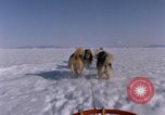 Standbild Hund Team der Antarktis, 1964, aus Sekunde 12 historischem Filmmaterial Videoclip 65675071420