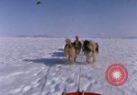 Standbild Hund Team der Antarktis, 1964, aus Sekunde 20 historischem Filmmaterial Videoclip 65675071420