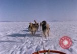 Standbild Hund Team der Antarktis, 1964, aus Sekunde 27 historischem Filmmaterial Videoclip 65675071420
