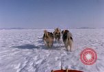Standbild Hund Team der Antarktis, 1964, aus Sekunde 28 historischem Filmmaterial Videoclip 65675071420