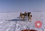 Standbild Hund Team der Antarktis, 1964, aus Sekunde 29 historischem Filmmaterial Videoclip 65675071420