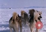 Standbild Hund Team der Antarktis, 1964, aus Sekunde 30 historischem Filmmaterial Videoclip 65675071420