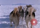Standbild Hund Team der Antarktis, 1964, aus Sekunde 33 historischem Filmmaterial Videoclip 65675071420