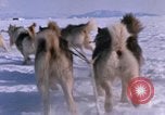 Standbild Hund Team der Antarktis, 1964, aus Sekunde 39 historischem Filmmaterial Videoclip 65675071420