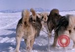 Standbild Hund Team der Antarktis, 1964, aus Sekunde 54 historischem Filmmaterial Videoclip 65675071420