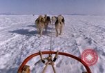 Standbild Hund Team der Antarktis, 1964, aus Sekunde 59 historischem Filmmaterial Videoclip 65675071420