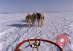 Standbild Hund Team der Antarktis, 1964, aus Sekunde 60 historischem Filmmaterial Videoclip 65675071420