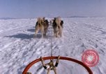 Standbild Hund Team der Antarktis, 1964, aus Sekunde 61 historischem Filmmaterial Videoclip 65675071420