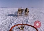 Standbild Hund Team der Antarktis, 1964, aus Sekunde 62 historischem Filmmaterial Videoclip 65675071420