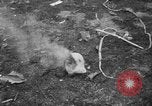 Image of aircraft crash California United States USA, 1951, second 29 stock footage video 65675071432
