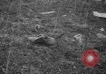 Image of aircraft crash California United States USA, 1951, second 35 stock footage video 65675071432