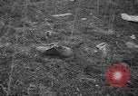 Image of aircraft crash California United States USA, 1951, second 36 stock footage video 65675071432