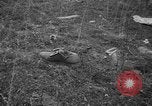 Image of aircraft crash California United States USA, 1951, second 37 stock footage video 65675071432