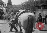 Image of aircraft crash California United States USA, 1951, second 47 stock footage video 65675071432