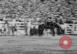 Image of rodeo Los Angeles California USA, 1951, second 25 stock footage video 65675071434