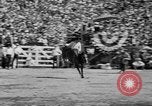 Image of rodeo Los Angeles California USA, 1951, second 26 stock footage video 65675071434