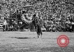 Image of rodeo Los Angeles California USA, 1951, second 27 stock footage video 65675071434