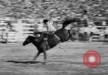 Image of rodeo Los Angeles California USA, 1951, second 30 stock footage video 65675071434