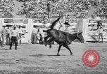 Image of rodeo Los Angeles California USA, 1951, second 32 stock footage video 65675071434