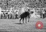 Image of rodeo Los Angeles California USA, 1951, second 33 stock footage video 65675071434