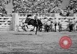 Image of rodeo Los Angeles California USA, 1951, second 36 stock footage video 65675071434
