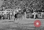 Image of rodeo Los Angeles California USA, 1951, second 38 stock footage video 65675071434
