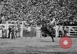 Image of rodeo Los Angeles California USA, 1951, second 39 stock footage video 65675071434