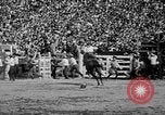 Image of rodeo Los Angeles California USA, 1951, second 40 stock footage video 65675071434