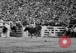 Image of rodeo Los Angeles California USA, 1951, second 41 stock footage video 65675071434