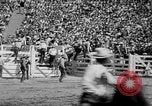 Image of rodeo Los Angeles California USA, 1951, second 42 stock footage video 65675071434