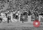 Image of rodeo Los Angeles California USA, 1951, second 43 stock footage video 65675071434