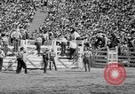 Image of rodeo Los Angeles California USA, 1951, second 44 stock footage video 65675071434