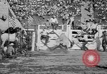 Image of rodeo Los Angeles California USA, 1951, second 51 stock footage video 65675071434