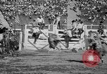 Image of rodeo Los Angeles California USA, 1951, second 52 stock footage video 65675071434