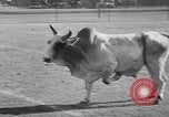 Image of rodeo Los Angeles California USA, 1951, second 57 stock footage video 65675071434